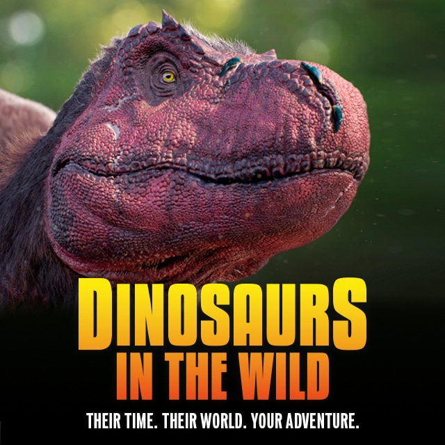 A dinosaur head with text.