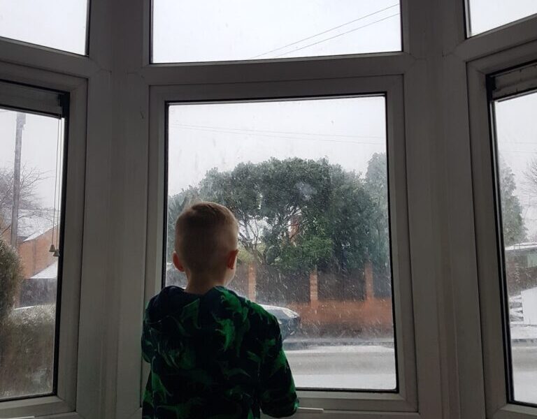 A young boy with short blond hair, wearing a dark shirt with green dinosaur prints, stands inside facing large bay windows. Outside, it appears to be a snowy or rainy day with overcast skies, trees, a fence, and a parked car visible through the glass.