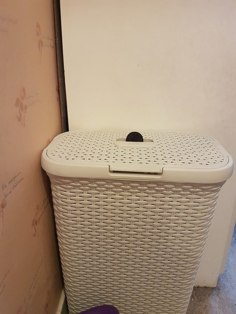 A cream-coloured, rectangular woven plastic laundry basket with a lid is placed in the corner against a wall with floral wallpaper and a plain, off-white wall. A small dark round object rests on top of the basket’s lid. Carpet is visible at the bottom.