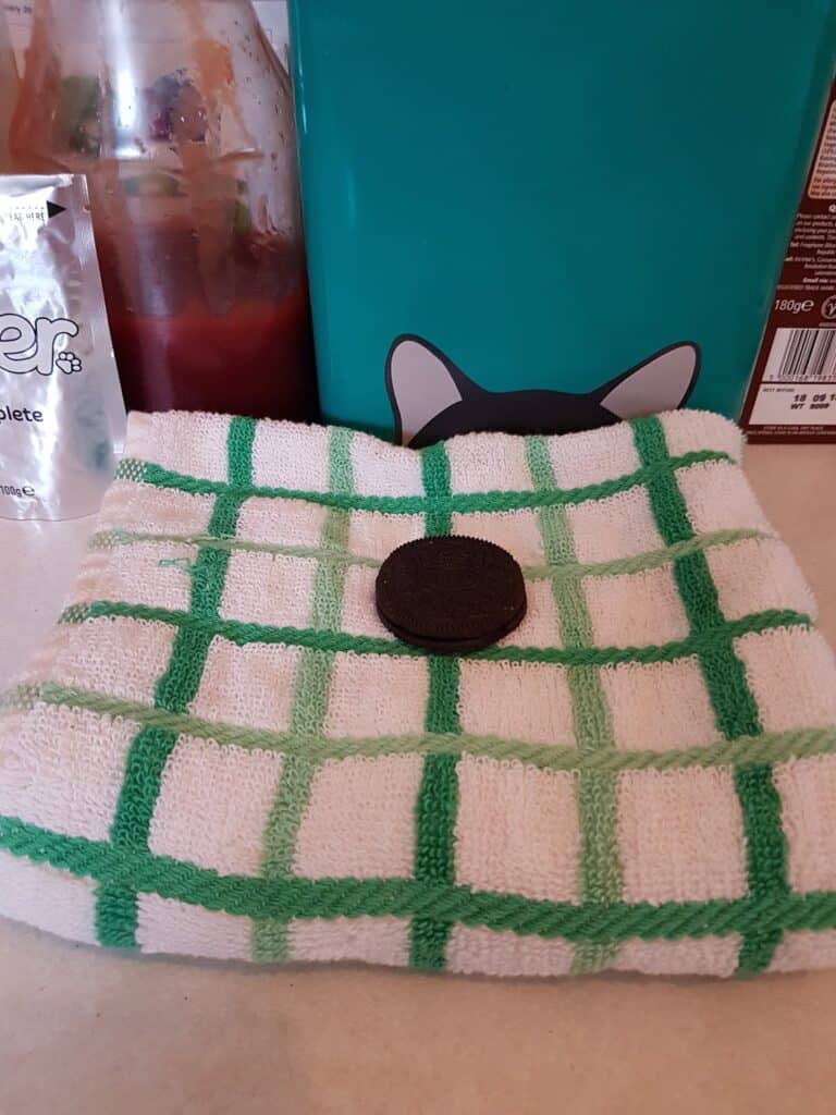 A single Oreo biscuit sits on a white towel with green check stripes. Behind the towel are a tomato ketchup bottle, a metallic teal container with cat ears, and a partially visible drink pouch on the left, all on a beige worktop.