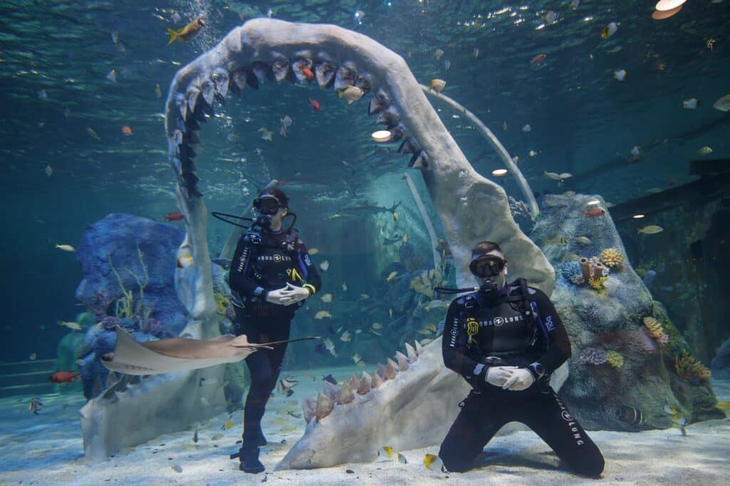 Two scuba divers pose underwater in front of a large, open-mouthed model of a prehistoric shark jaw. Colourful fish and corals surround them, and one diver kneels as a stingray swims nearby. The aquarium setting is filled with aquatic life and marine decorations.