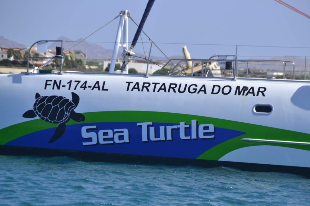 A sailing boat named "Sea Turtle" with a large turtle graphic, the words "TARTARUGA DO MAR," and registration number "FN-174-AL" on its side, floats on clear blue water near a coastline with buildings and mountains in the background.