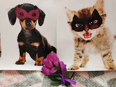 A photo shows two pictures side by side: a puppy and a kitten, both wearing red masks. In front of the pictures lies a small bunch of purple flowers tied with a ribbon on a soft, patterned surface.