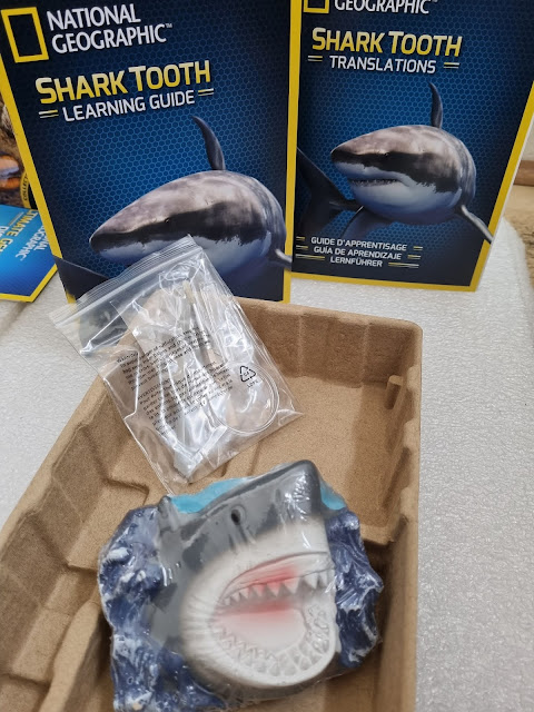 A National Geographic Shark Tooth Learning Guide and Shark Tooth Translations booklet stand upright behind a shark-shaped excavation kit and a small plastic bag containing excavation tools, all placed on a textured tray. The shark model has an open mouth showing teeth.