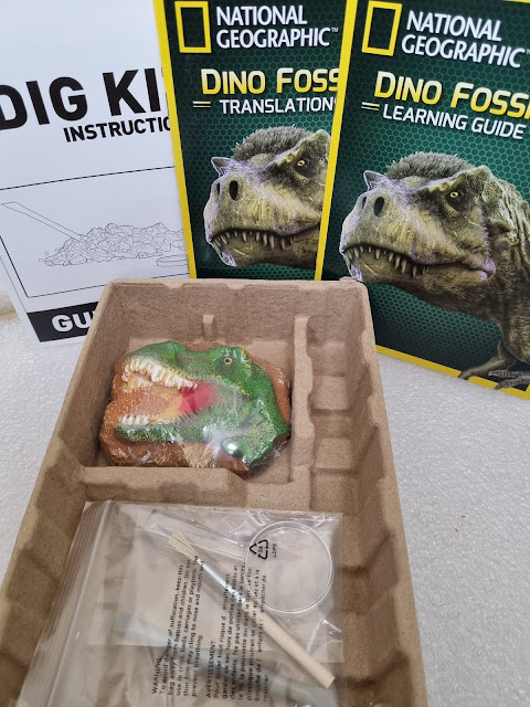 A National Geographic Dino Fossil dig kit is shown. In the tray are a T. rex dinosaur head replica, a brush, and a magnifying glass. Behind the tray are two green National Geographic guides with a T. rex image, and a partially visible instruction sheet.