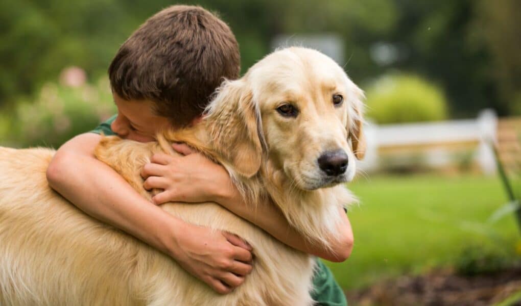 A young boy with short brown hair hugs a golden retriever tightly outdoors. The dog looks ahead with a calm expression whilst the boy's face is pressed against its neck. Green grass and blurred plants fill the background.
