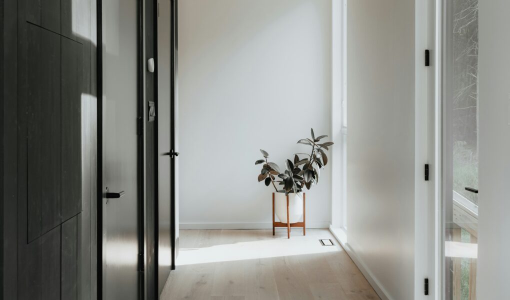 A bright, minimalist hallway with light wood floors, white walls, and black doors on the left. Sunlight streams through a window on the right, illuminating a leafy potted plant in a wooden stand placed at the end of the corridor.