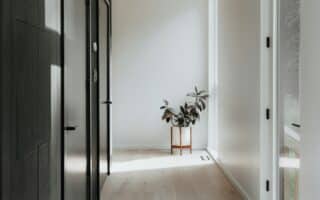 A bright, minimalist hallway with light wood floors, white walls, and black doors on the left. Sunlight streams through a window on the right, illuminating a leafy potted plant in a wooden stand placed at the end of the corridor.