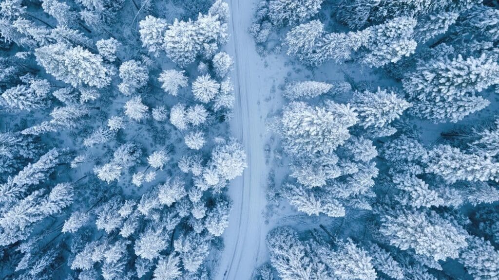 Aerial view of a snow-covered forest with dense trees blanketed in white. A narrow, winding path or road cuts through the centre, creating a clear divide between the trees on either side. The landscape has a frosty, serene winter atmosphere.
