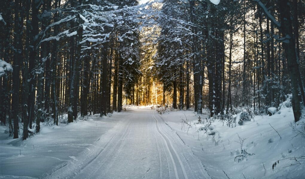A snow-covered road with trees and a path through it.