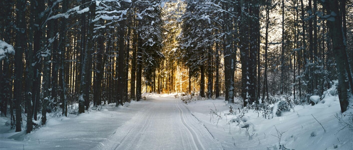 A snow-covered road with trees and a path through it.