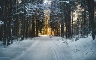 A snow-covered road with trees and a path through it.