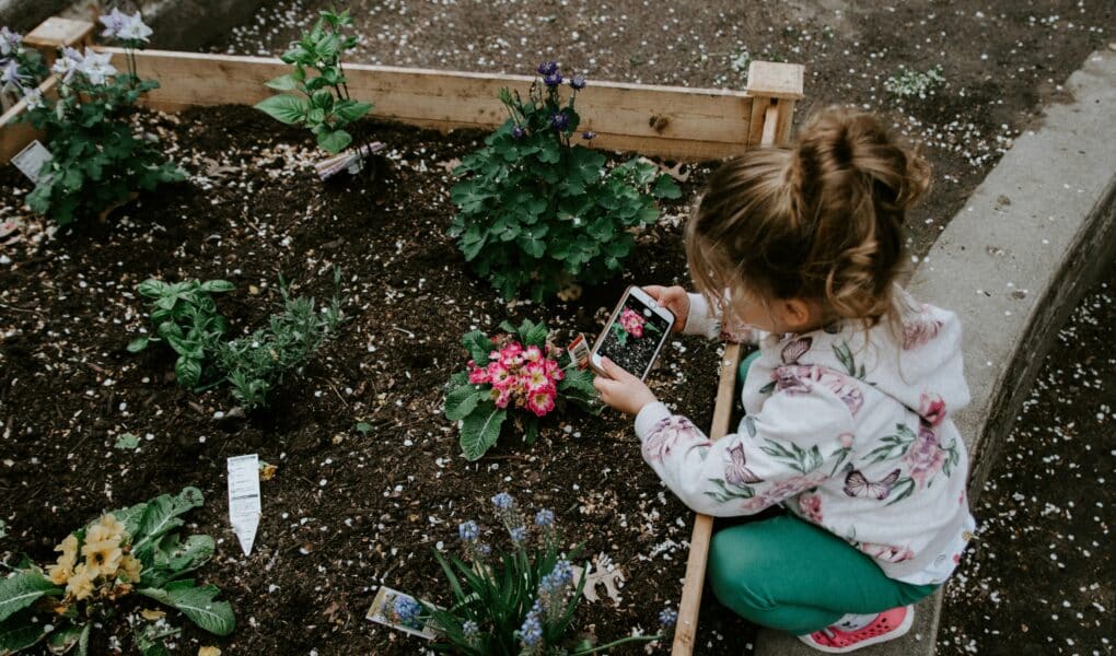 A young girl wearing a floral hoodie and teal trousers kneels by a raised garden bed, taking a photo of pink flowers with a mobile phone. Around her are small blooming plants and garden markers in the freshly turned soil.