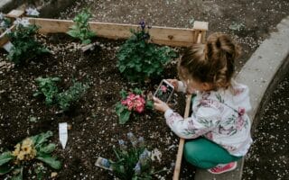 A young girl wearing a floral hoodie and teal trousers kneels by a raised garden bed, taking a photo of pink flowers with a mobile phone. Around her are small blooming plants and garden markers in the freshly turned soil.