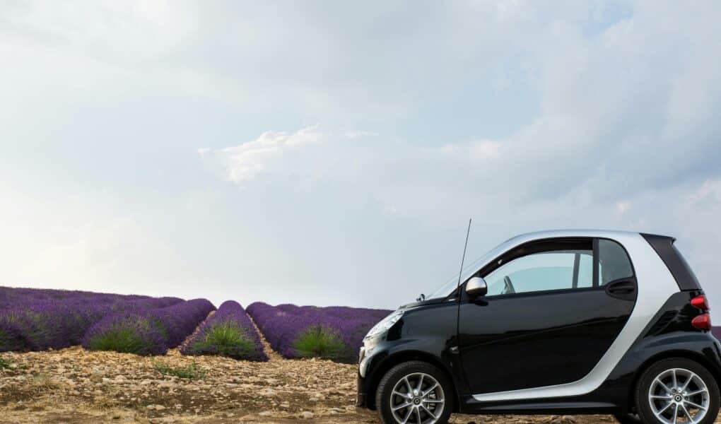 A car parked in a field of lavendar.