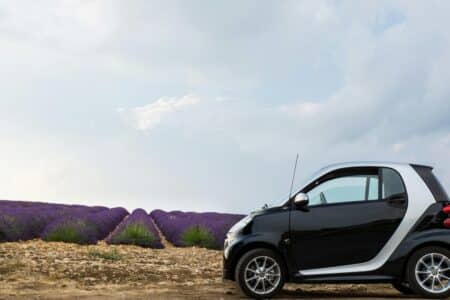 A car parked in a field of lavendar.